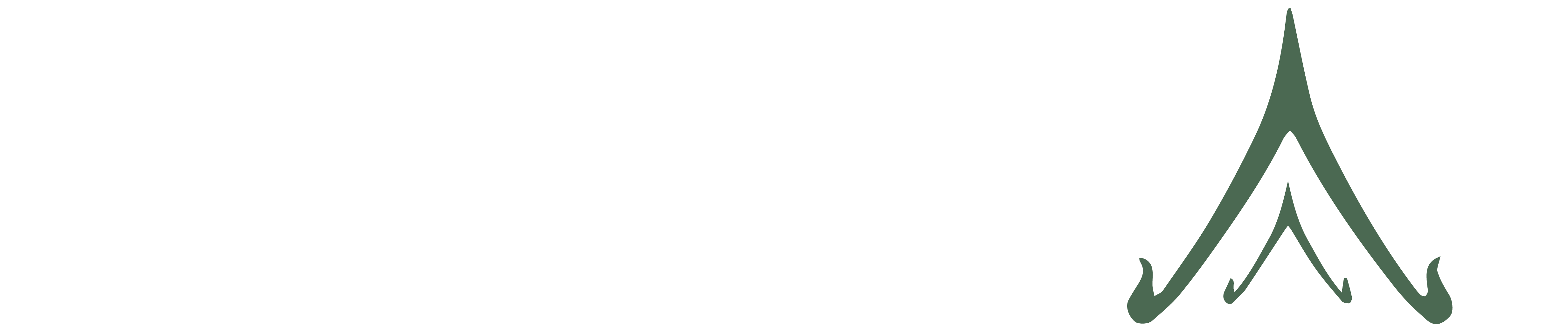 Zentai CO Logo